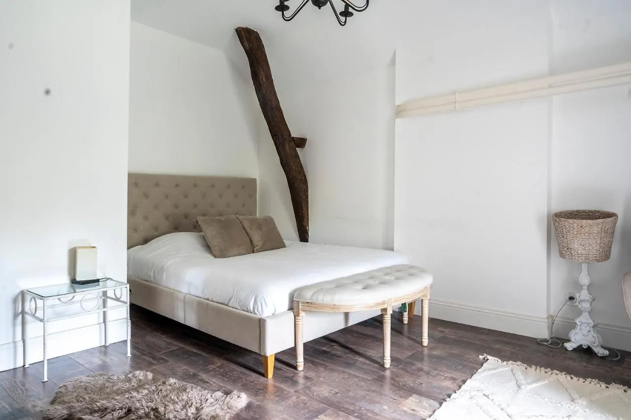 Chateau Des Ayes - Chambres & Suites Saint-Etienne-de-Saint-Geoirs Guest house